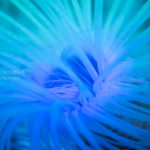 ［６］ニコンカレッジ 水族館撮影テクニック　ー撮影のコツー