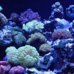 ［６］水族館の青い水槽の世界