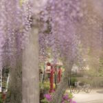 ［６］イメージは、はっきりと覚えている夢の風景！？