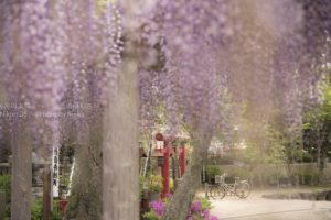 ［６］イメージは、はっきりと覚えている夢の風景！？