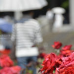 ［６］人物の姿をぼかして写真の印象づくり！