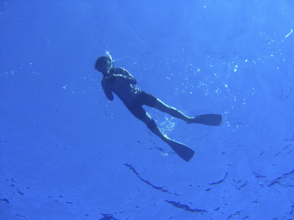 ［６］Week 46 : Backlit