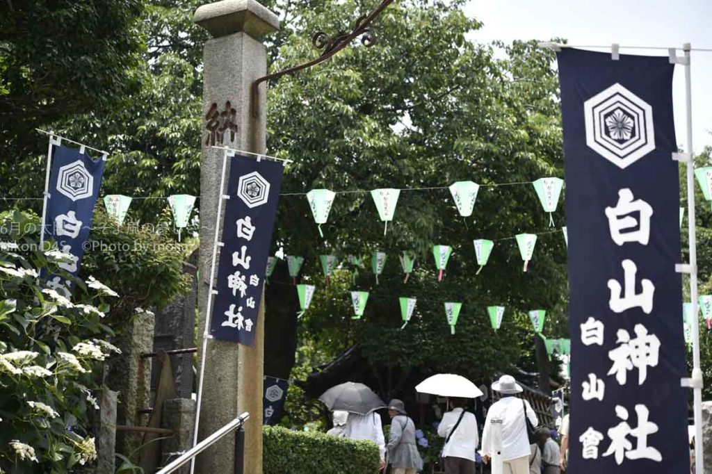 ［６］都内の紫陽花の名所「白山神社」
