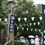 ［６］都内の紫陽花の名所「白山神社」