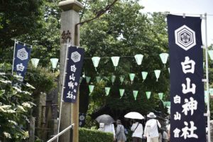［６］都内の紫陽花の名所「白山神社」