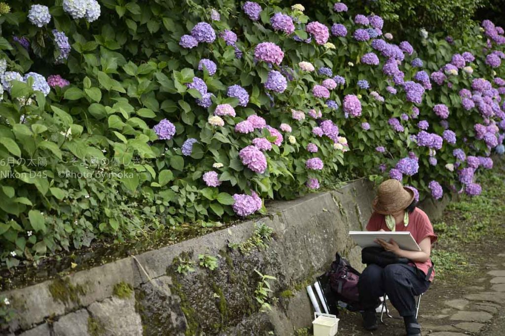 ［６］写真とは違う風景の切取り方法！