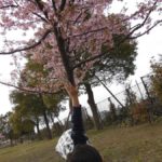 ［６］Week 49 : Dancing