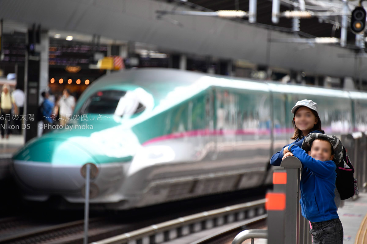 ［６］東京駅で見れるのは、電車と様々な人間ドラマ！？