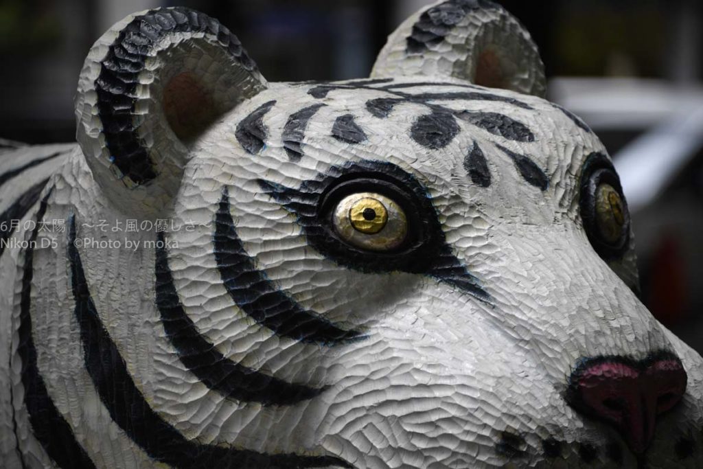 ［６］東京丸の内でスナップ撮影を楽しむ！！