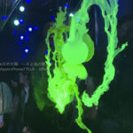 ［６］エプソン アクアパーク品川でiPhone写真を撮りまくる！