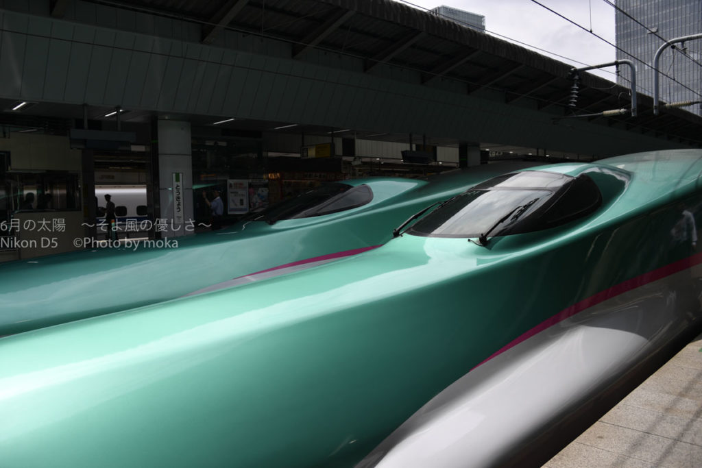 ［６］子どもたちに大人気の緑のボディのＥ５系新幹線！！