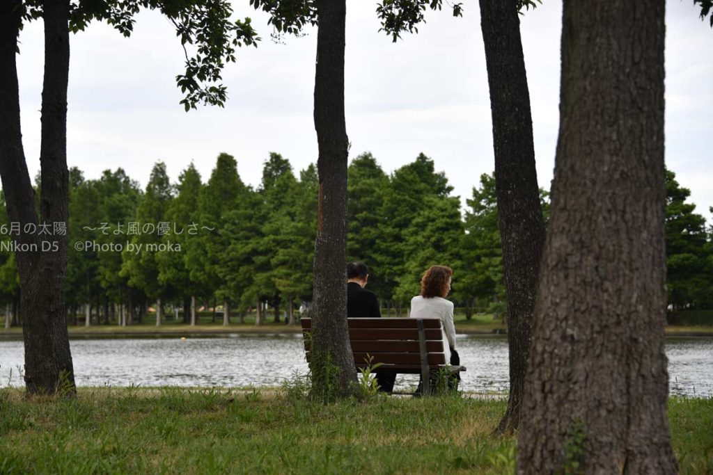 ［６］梅雨の雨の切れ間の水元公園！