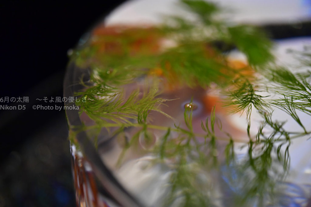 ［６］美術品のように美しい金魚鉢