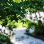 ［６］日本橋の福徳神社で当選祈願