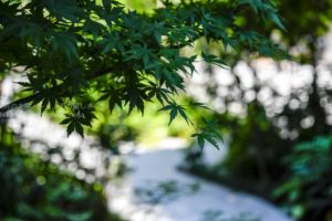 ［６］日本橋の福徳神社で当選祈願