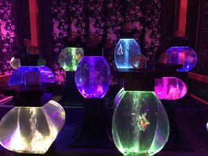 ［６］アートアクアリウム 2017  〜江戸・金魚の涼〜