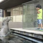 ［６］水族館前でアシカとご対面！！
