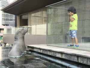 ［６］水族館前でアシカとご対面！！
