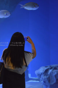 ［６］ブレないようにしっかりと構えて水族館で写真撮る！！