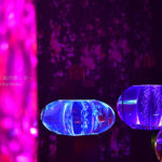 ［６］目の前に見えるのは、異空間に置かれた金魚鉢！？