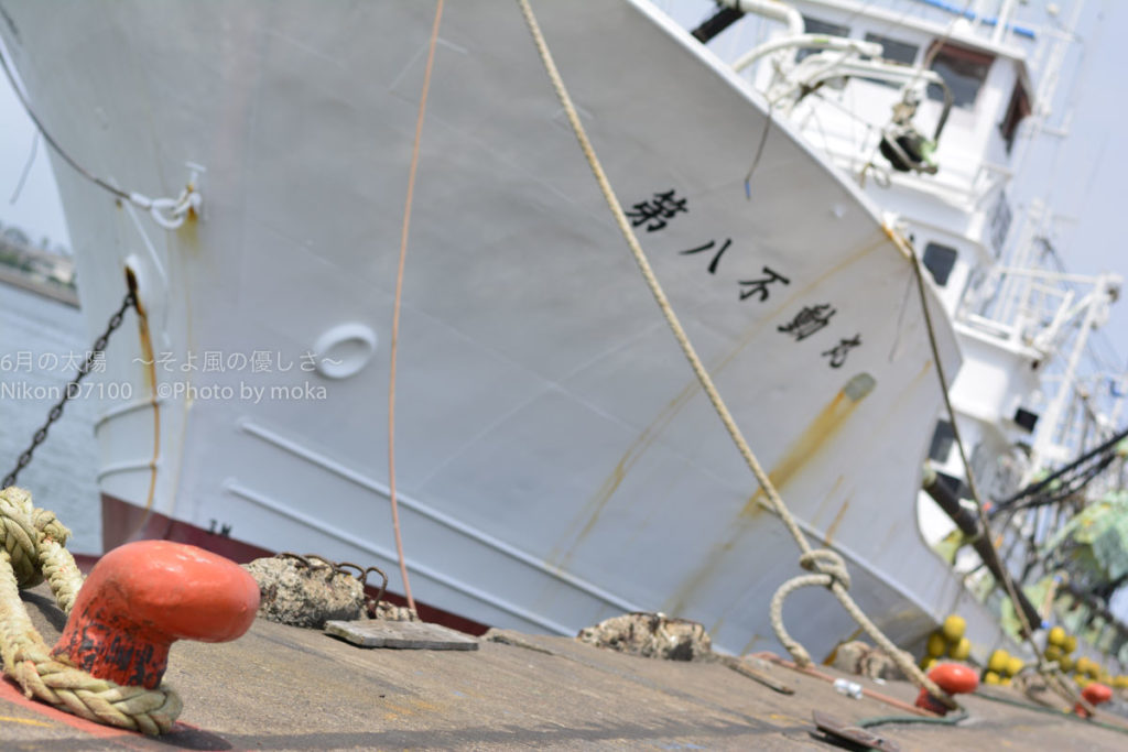 ［６］銚子漁港で、大きな漁船に圧倒される