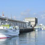 ［６］日本一の銚子漁港を散歩！