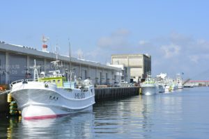 ［６］日本一の銚子漁港を散歩！