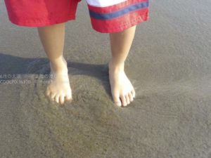 ［６］2017年夏、海辺の思い出 ♪