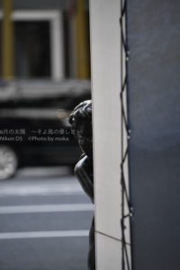 ［６］銀座に住むストーカー天使！？