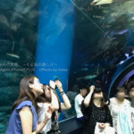［６］品川エプソン水族館のトンネル水槽を見あげてみた！