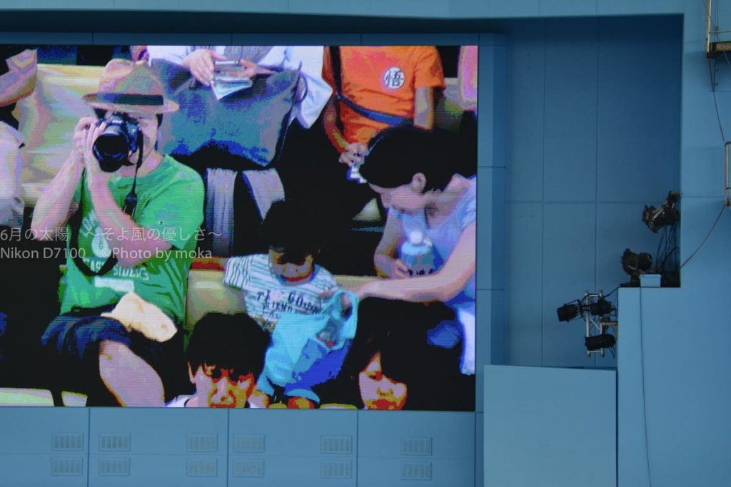 ［６］イルカのショーの前にはオーロラビジョンに注目!!