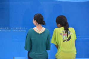 【八景島のイルカショー】ビショ濡れになってイルカショーを楽しもう