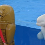 ［６］イルカショーの中で輝く最高の笑顔！！