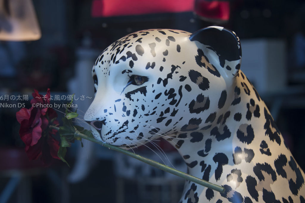 ［６］丸の内仲通り沿いの動物たち！？