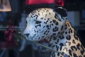 ［６］丸の内仲通り沿いの動物たち！？