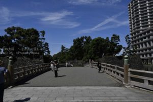 ［６］皇居内は撮影ポイントの宝庫！？