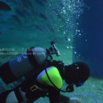 ［６］品川エプソン水族館では人も展示！？