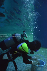 ［６］品川エプソン水族館では人も展示！？