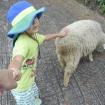 ［６］栃木県の南ヶ丘牧場で動物たちと触れ合う