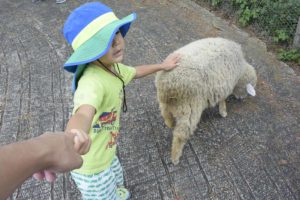 ［６］栃木県の南ヶ丘牧場で動物たちと触れ合う