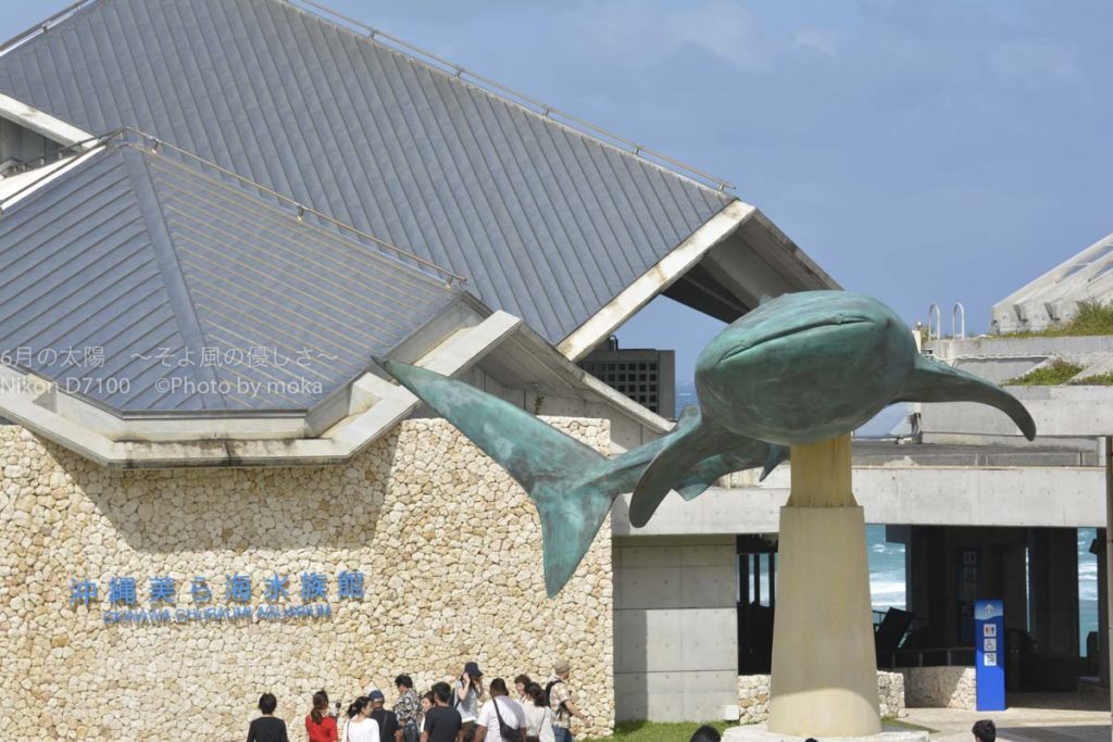 ［６］沖縄行ったら絶対に立ち寄りたい「沖縄美ら海水族館」