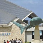 ［６］沖縄行ったら絶対に立ち寄りたい「沖縄美ら海水族館」