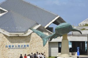 ［６］沖縄行ったら絶対に立ち寄りたい「沖縄美ら海水族館」