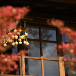 ［６］２０１７年、初めての紅葉写真を撮りに富士山へ！！