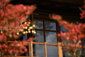 ［６］２０１７年、初めての紅葉写真を撮りに富士山へ！！