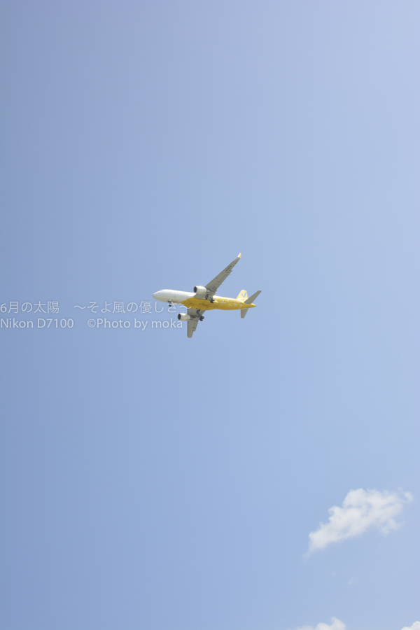 ［６］沖縄の海とジャンボジェット機