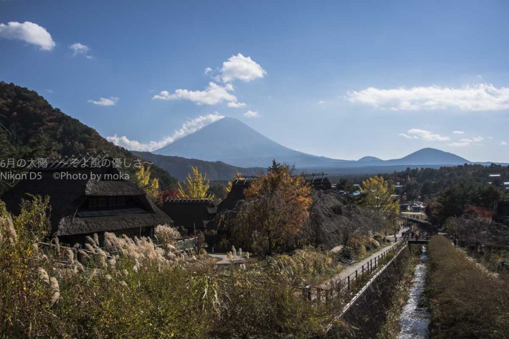 ［６］秋の紅葉と、富士五湖の西湖と、世界遺産の富士山
