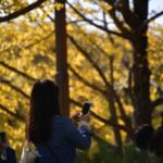 ［６］イチョウ並木が素晴らしい、秋の国営昭和記念公園！