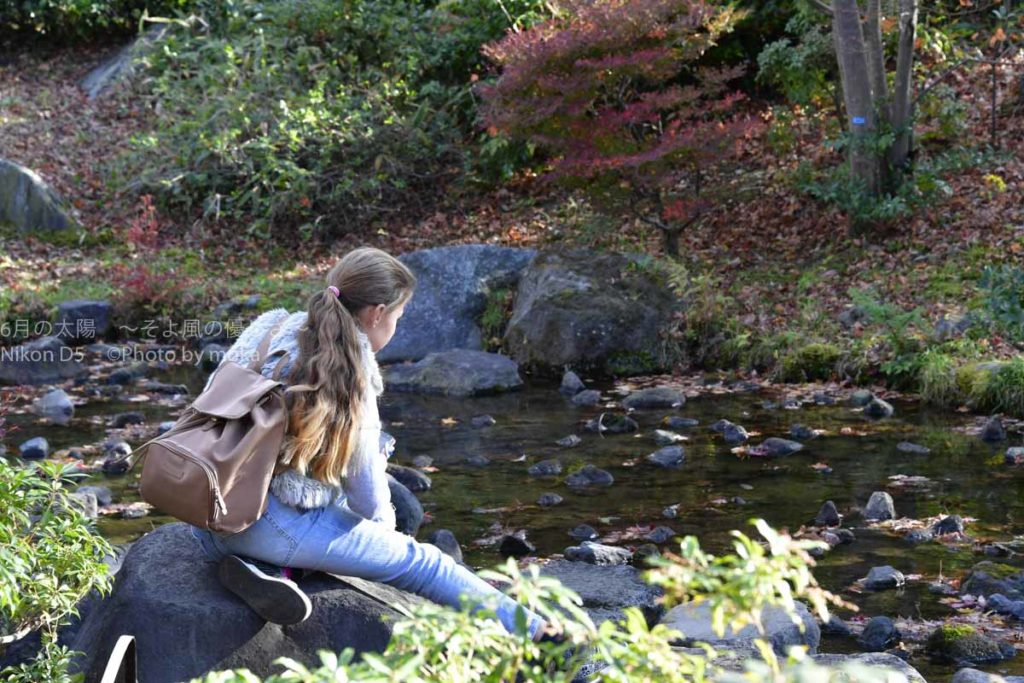 ［６］昭和記念公園の紅葉の中で出会った後ろ姿