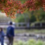 ［６］次の週末は、紅葉を楽しみに公園へ出かけてみませんか